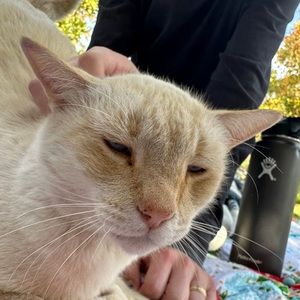 Meet your Posher, Elsa